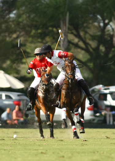 audi polo team coca polo team int polo club polo magazine alex pacheco photos