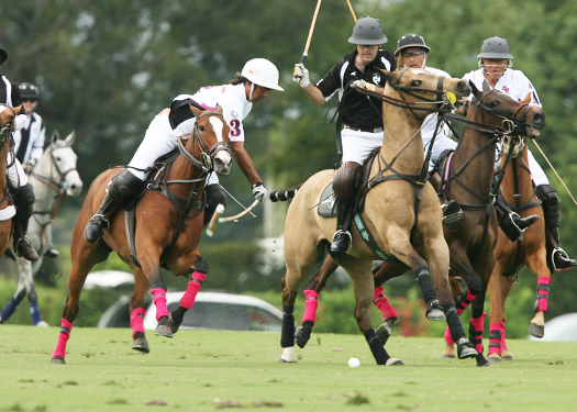 polo photos alex pacheco polo mag ipc polo club 2013 crab orchard audi polo teams
