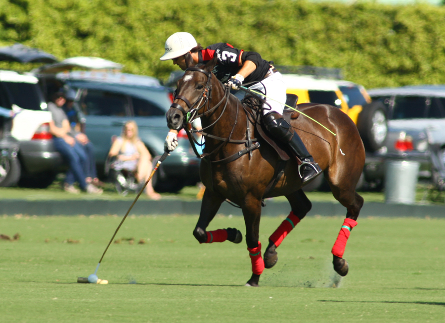 photos-gold-cup-audi-7-orchard-hill-5 1 polomagazine.jpg