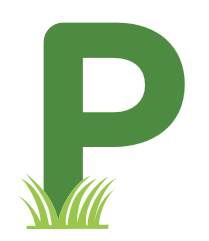 Newport Patch