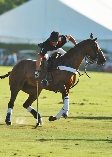 zorzal poloteam erg polo team us  open polo championships polo magazine alex pacheco